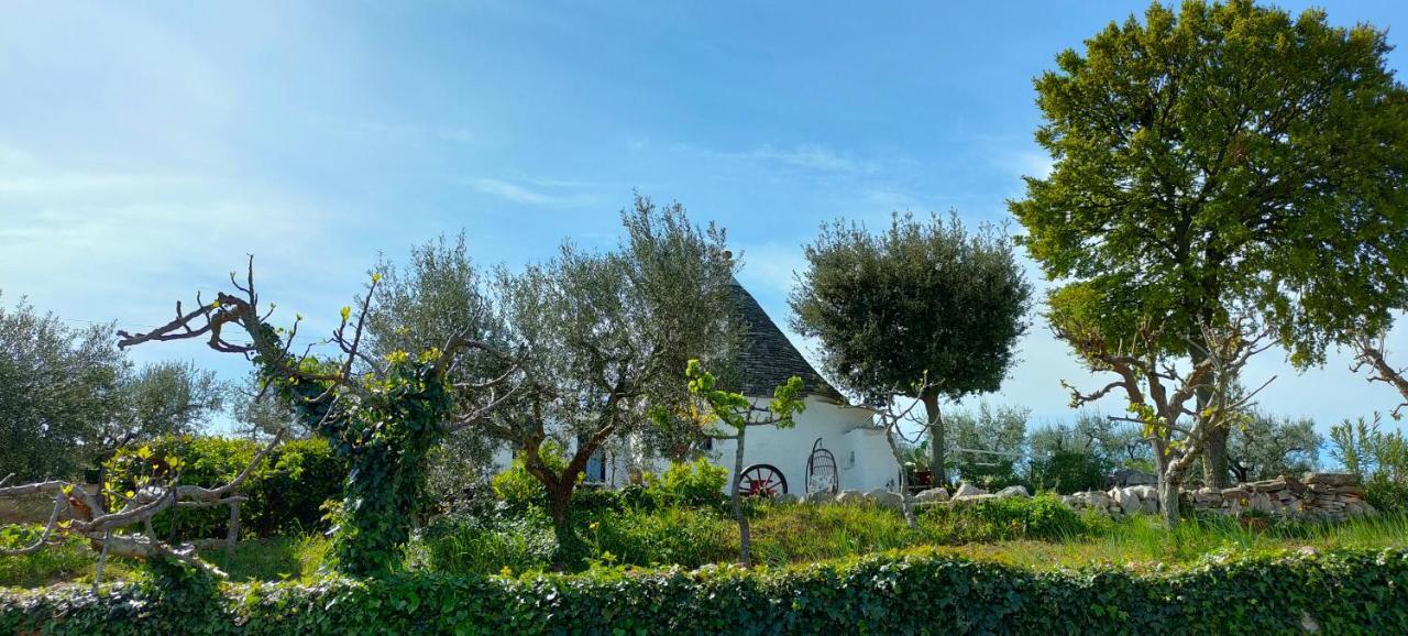 Antico Trullo Immerso Nella Campagna Alberobello Eksteriør billede
